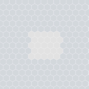 Hexagon 1