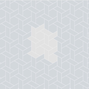 Hexagon 10