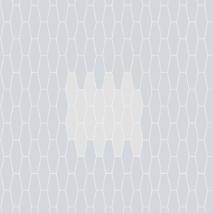 Hexagon 11