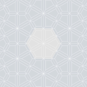 Hexagon 13