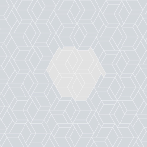 Hexagon 14