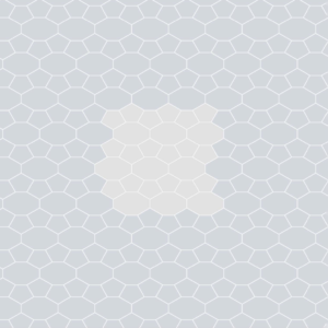 Hexagon 8