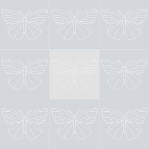 Butterfly 1