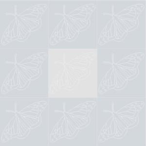 Butterfly 3
