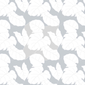 Elephant Ears