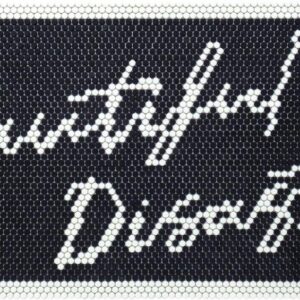 Beautiful Disaster - flint & cloud