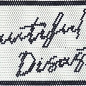 Beautiful Disaster - cloud & flint