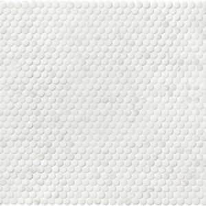 C6 Blanc