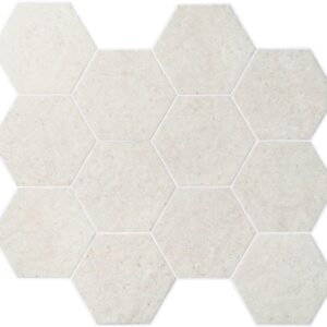 H10 texture Cosse