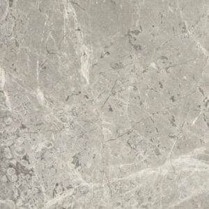 Arctic Gris