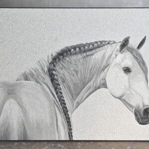 Countryside Rider